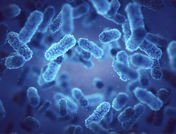 Microbes and Enzymes